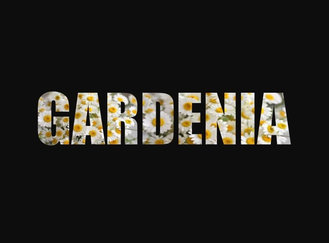صورة قاعه جاردنيا _ Gardenia plaza