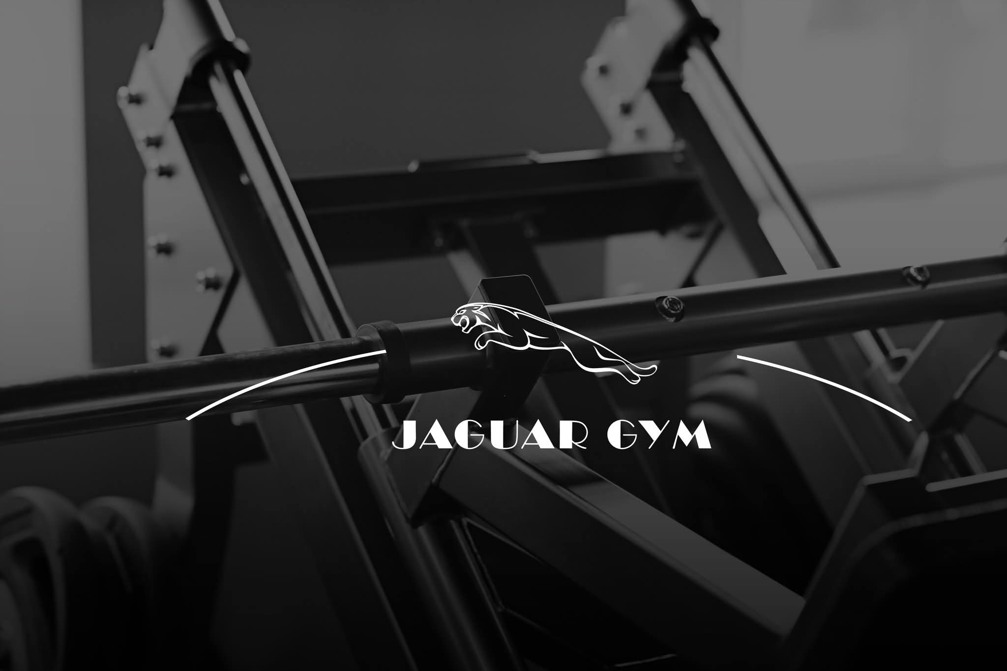جاجور جيم _ Jaguar